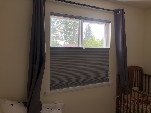 Rayblinds Honeycomb-Blinds Best Rated Window Blinds to Buy 