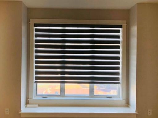 Rayblinds Zebra-Blinds Best Rated Window Blinds to Buy 