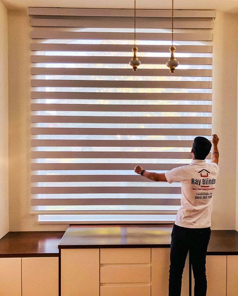 Rayblinds Zebra-Blind-Ray-Blinds-INC Facts You Should Know Before Choosing Any Blinds  