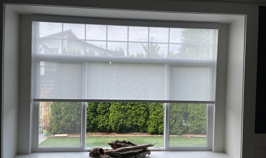 Rayblinds Dual-roller-shades-sheer Projects  