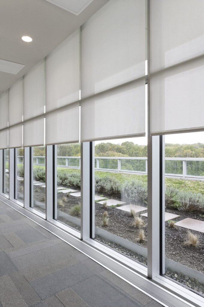 mot roller blinds scaled 1