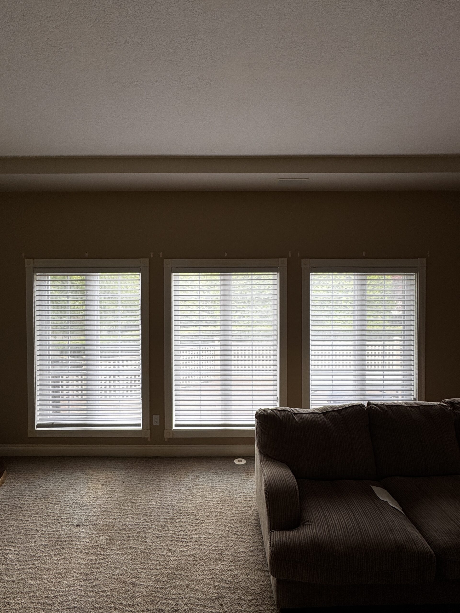 Automated Blinds 20 IMG 5909 scaled