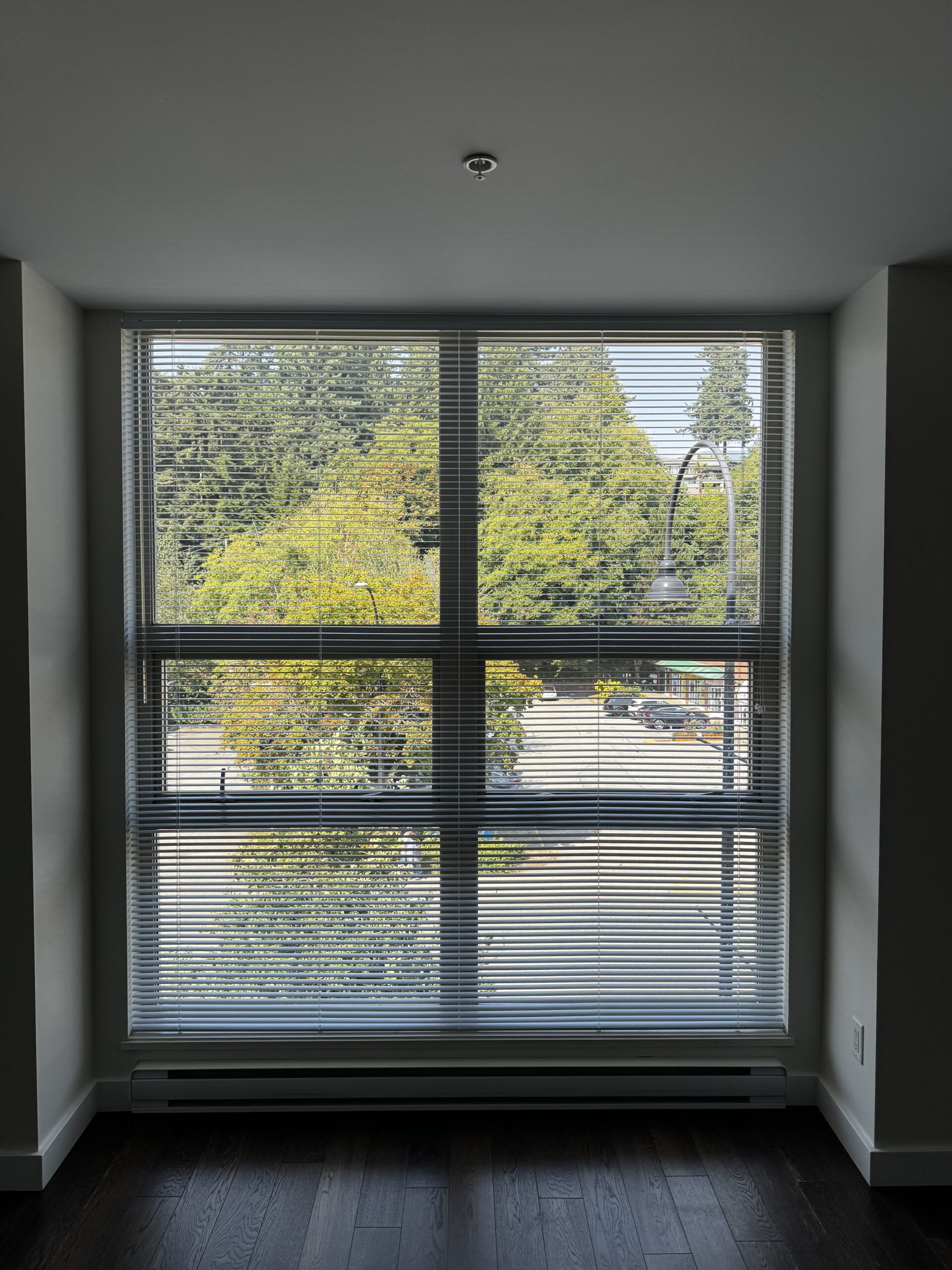 Automated Blinds 19 IMG 6151 scaled