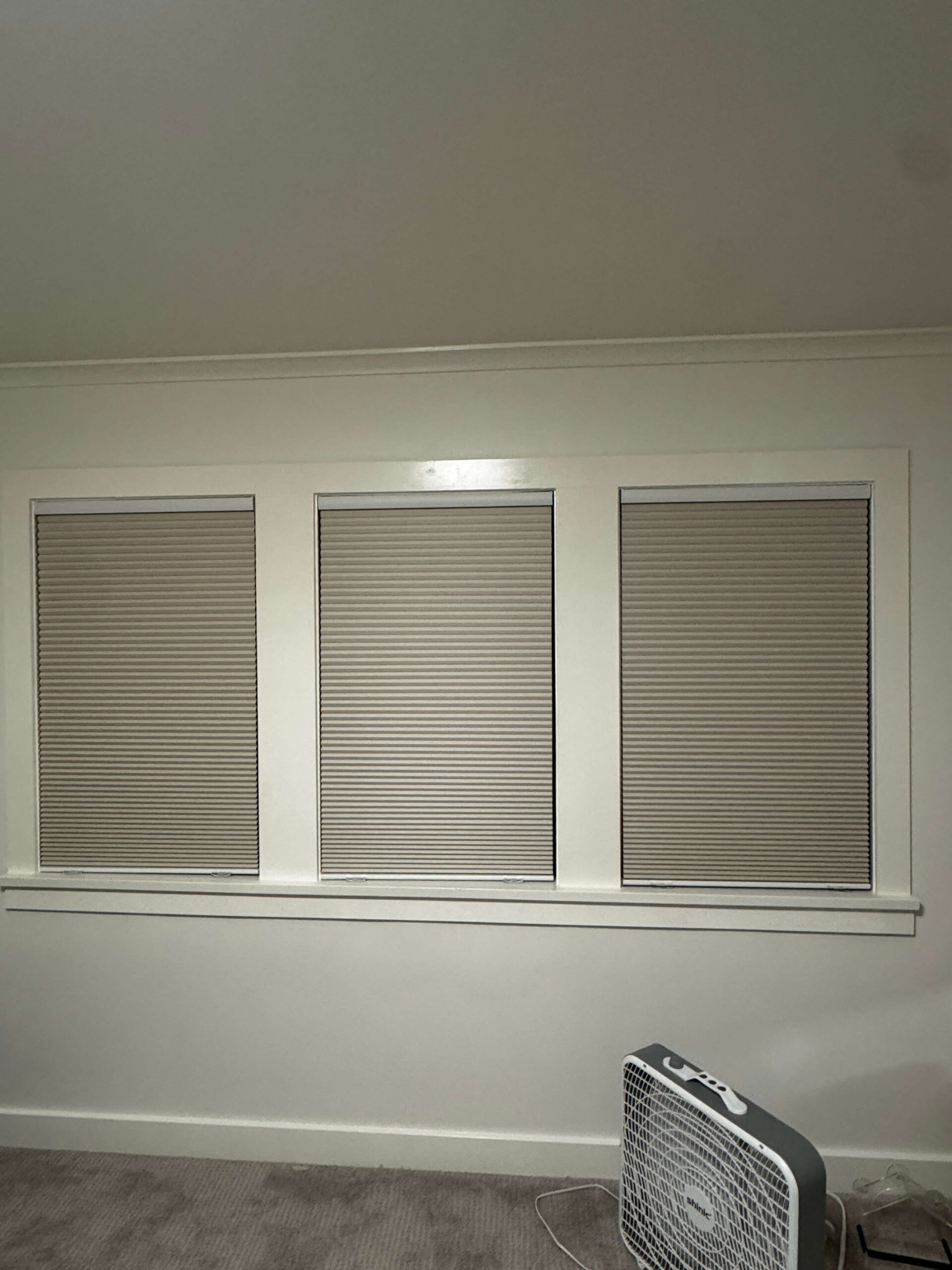 Vertical Blinds 11 IMG 6906 scaled