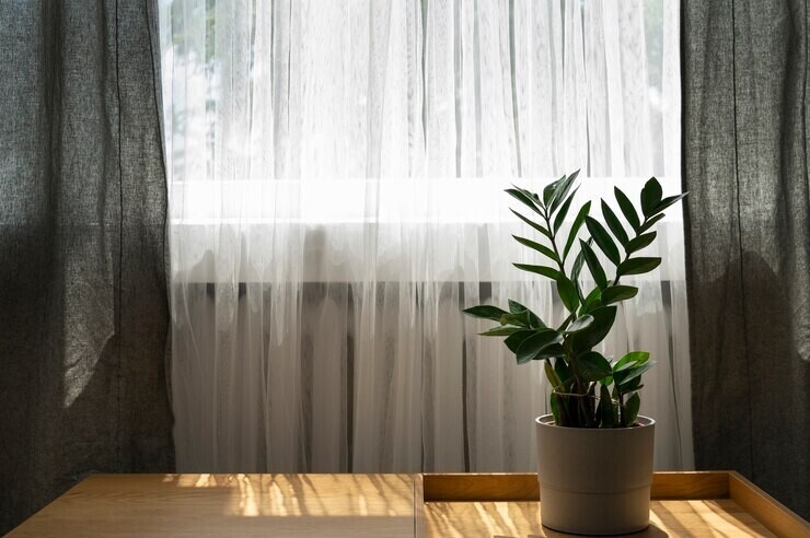 Plant on table by window